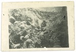 Trench with Skeletal Remains