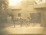 Horse-Pulled Cart