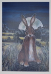 Hare of the Big Moon by Glynis Hughes
