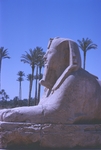 B05.005 Alabaster Sphinx by Denis Baly