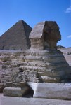 B05.011 The Sphinx of Giza by Denis Baly