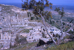 B04.088 Cyrene - General View by Denis Baly