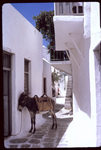 G.020 Mykonos by Denis Baly
