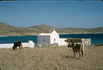 G.048 Mykonos by Denis Baly