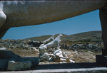 G.074 Lions of Delos by Denis Baly