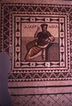 AU.051 Tomb of Amerimnia Mosaic, Hatay by Denis Baly