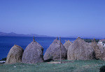 AL.025 South of Zadar by Denis Baly