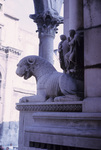 AL.062 Lion Statue, Diocletian's Palace, Split by Denis Baly