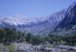AL.075 South of Makarska by Denis Baly