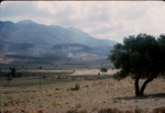 H.037 Mesaoria and North Mountains by Denis Baly