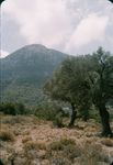 H.039 Mountains Near Belapais by Denis Baly