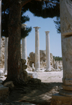 H.063 Salamis by Denis Baly