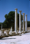H.064 Salamis by Denis Baly