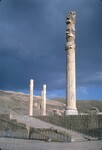 K.009 Pillars of the Apadana by Denis Baly
