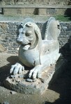 K.013 Lion Capital in Apadana by Denis Baly