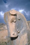 K.016 Horse Capital in Apadana by Denis Baly