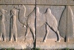 K.037 Bactrians leading a Bactrian Camel, Delegation 15, Northern Stairway by Denis Baly