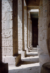 O.008 Palace of Ramsesses III (Medinet Habu) by Denis Baly