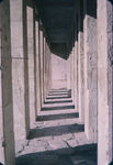 O.023 Deir el-Bahari by Denis Baly