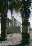O.037 Luxor Temple by Denis Baly