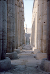 O.041 Luxor Temple by Denis Baly