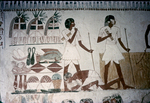 O.084 Tomb of Menna by Denis Baly