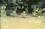 June Flood high water at River Trail entrance, Laymon Road Bridge by David Heithaus