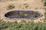 Mesocosm Experiment by Pat Heithaus and Ray Heithaus