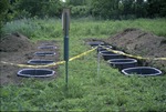 BFEC Mesocosms by Pat Heithaus and Ray Heithaus