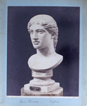 204 Hera Farnese -- Naples by G. Sommer