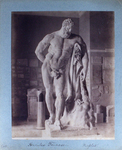 205 Hercules Farnese.-- Naples by G. Sommer