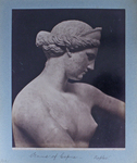 212 Venus of Capua.—Naples. by G. Sommer