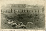 Aftermath of Execution