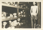 Army Signal Corps Photos of Nazi Atrocities