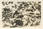 Army Signal Corps Photos of Nazi Atrocities