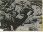 Post War Liberation Photos of Dachau Concentration Camp April 29 - May 10, 1945