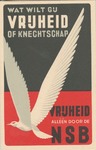 3rd Reich Dutch Nazi Party NSB Postcard
