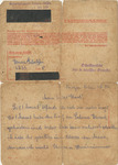 Letter by German-Jewish Inmate at Bergen-Belsen Concentration Camp
