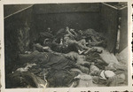 Photographs of Atrocities at Dachau Concentration Camp