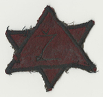 Red Star of David Patch