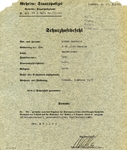 Schutzhaftbefehl [Polish Arrest Document]