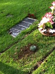 A succulent and a wreath of flowers adorn Abuela Teofilas grave (2011) by Betania Escobar