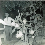 Charles Turner shows his nightblooming cereus