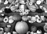 Dan Younger, Horticultural Display, Ohio State Fair, Columbus, OH, 1994-1997