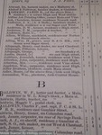 White's Mt Vernon Directory and City Guilde 1876-7 Vol. 1 by White's Mt Vernon Directory