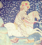 Angers Tapestry by Stuart Henry Rosenberg