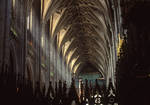 Winchester Cathedral, nave vaulting by Asa Mittman
