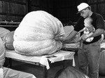 Dan Younger, Giant Pumpkin Award Winners, Wayne County Fair, Wooster, Ohio