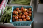 Small box of tomatoes at the Owl Creek Auction
