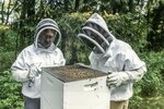 Pete and Boutin and Partner Keeping Bees by Daniel P. Younger